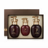 The History of Whoo WhooSpa Hair Special Set