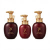 The History of Whoo WhooSpa Hair Special Set